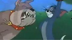 最新老鼠爆料视频下载安装,最新老鼠爆料视频下载安装全过程解析 第3张 最新老鼠爆料视频下载安装,最新老鼠爆料视频下载安装全过程解析 第3张